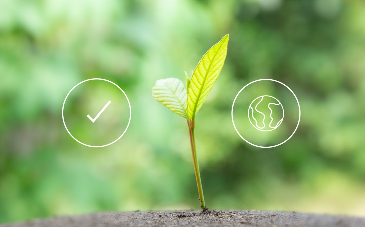 ISO 14001- A Sustainable business or green business background with connection icon concept environmentally environmental icon